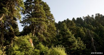 medioambiente