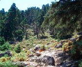 Patrimonio Natural