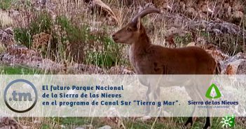 Vídeo íntegro del reportaje del programa “Tierra y Mar” de Canal Sur Televisión dedicado a la Sierra de las Nieves.