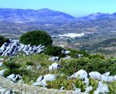 El futuro Parque Nacional de la Sierra de las Nieves en el programa de Canal Sur “Tierra y Mar”.