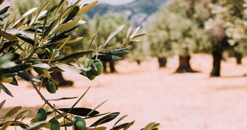 SIERRA DE LAS NIEVES PARTICIPA EN EL PROYECTO EN RED DIÁLOGOSRB.net