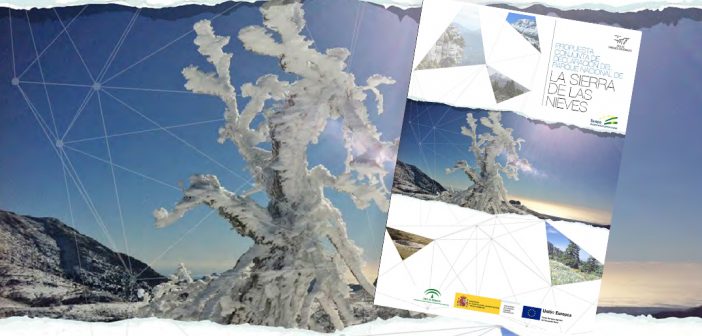 Se inicia el trámite de información pública de la propuesta de Parque Nacional Sierra de las Nieves.