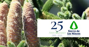 Sierra de las Nieves cumple 25 años como Reserva Mundial de la Biosfera de la UNESCO