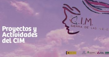 Proyectos y Actividades del CIM