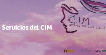 Servicios del CIM